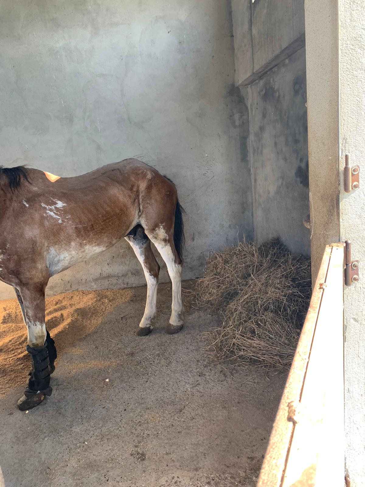 PHOTO-2020-07-19-09-57-32