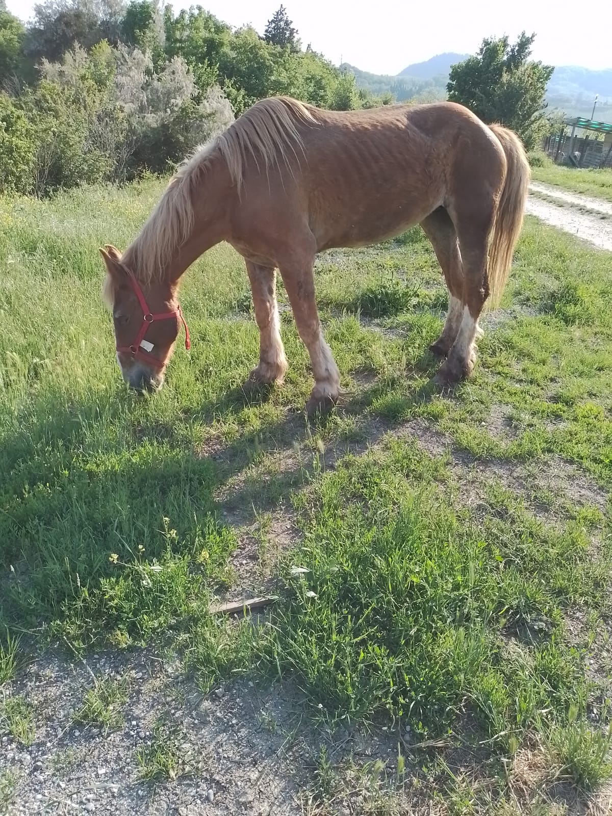 WhatsApp Image 2022-05-12 at 17.09.03