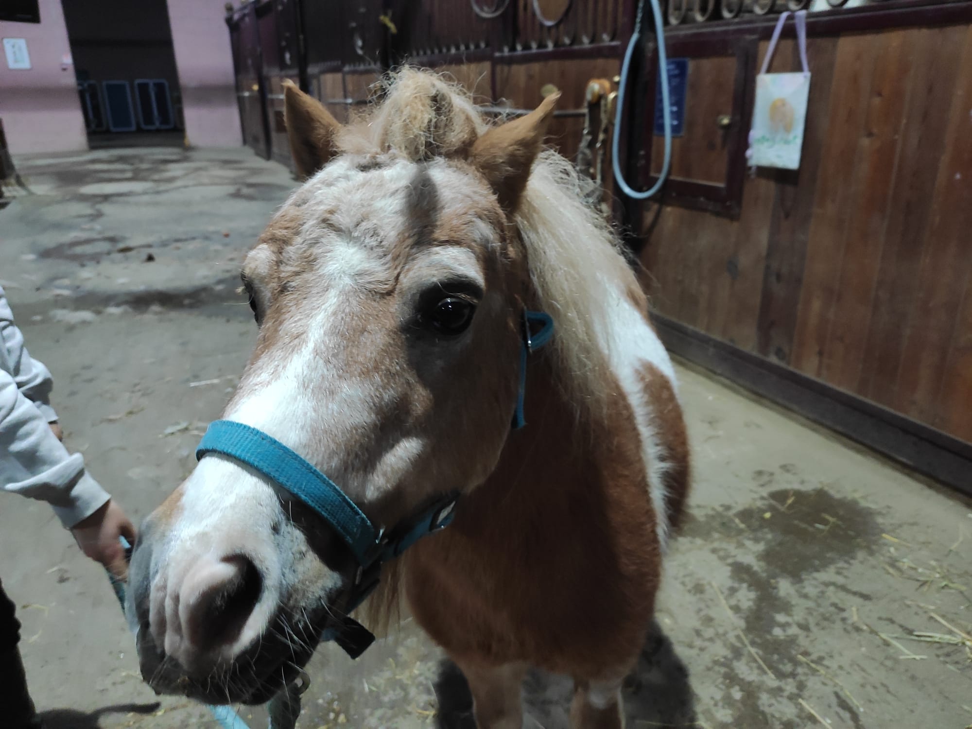 WhatsApp Image 2024-02-14 at 20.00.33