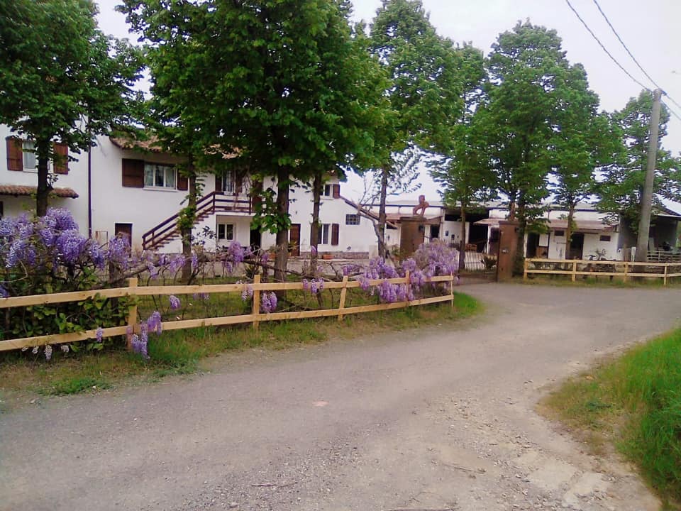 Dark Horse Sanctuary